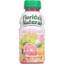 Floridas Natural Pink Grapefruit Splash, 10 Fluid Ounce -- 24 per case