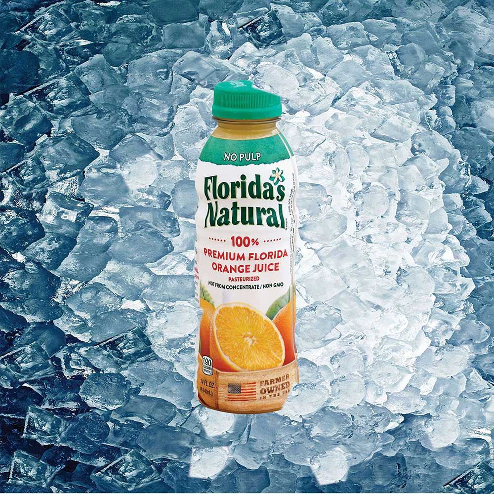 Florida's Natural Orange Juice, 14 Fluid Ounce -- 12 Per Case