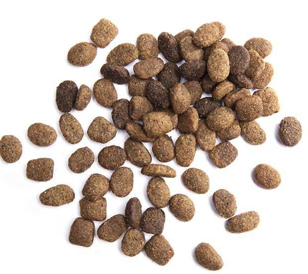 Product gallery 1828268