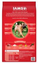 Iams Lamb and Rice Recipe Dry Dog Food, 15 Pound Bag