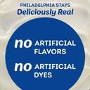 Philadelphia Original Cream Cheese Frosting, 1 Pound -- 6 per case