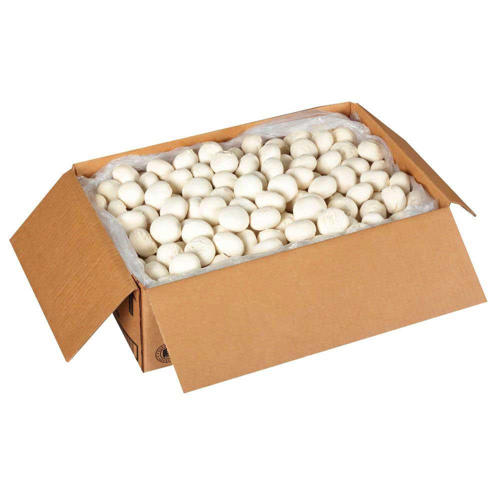 Product gallery 81190272