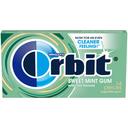 Wrigley Sweetmint Orbit Bubble Gum -- 144 per case.