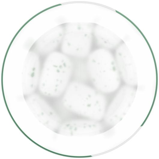 Product gallery 770684026