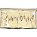 Tampa Bay Fisheries 8 to 12 Count Coconut Butterfly Breaded Shrimp, 3 Pound -- 4 per case