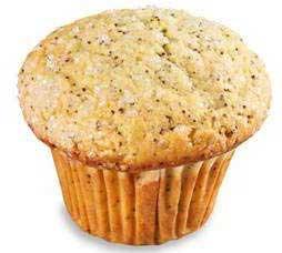 Product gallery 2462940