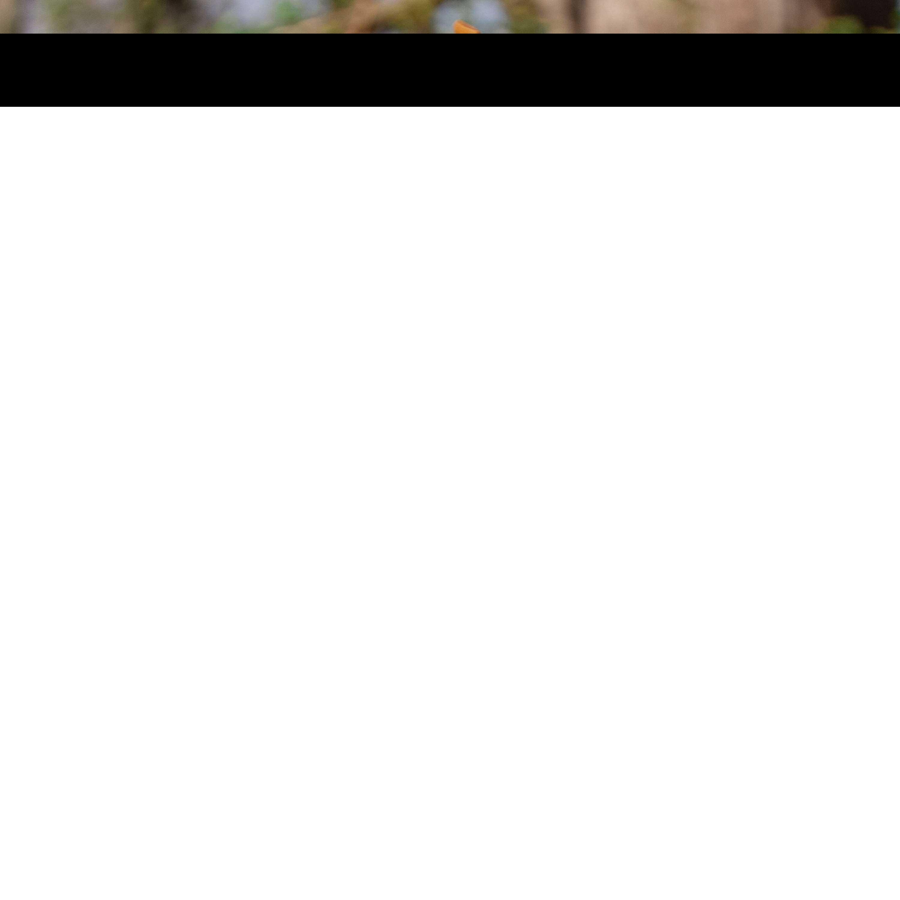 Product gallery 647972008