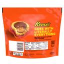 Reeses Family Pack Miniatures Milk Chocolate Peanut Butter Cup - Stand Up Bag, 17.6 Ounce -- 16 per case