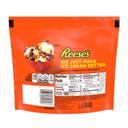 Reeses Minis Milk Chocolate Peanut Butter Cup, 7.6 Ounce -- 8 per case