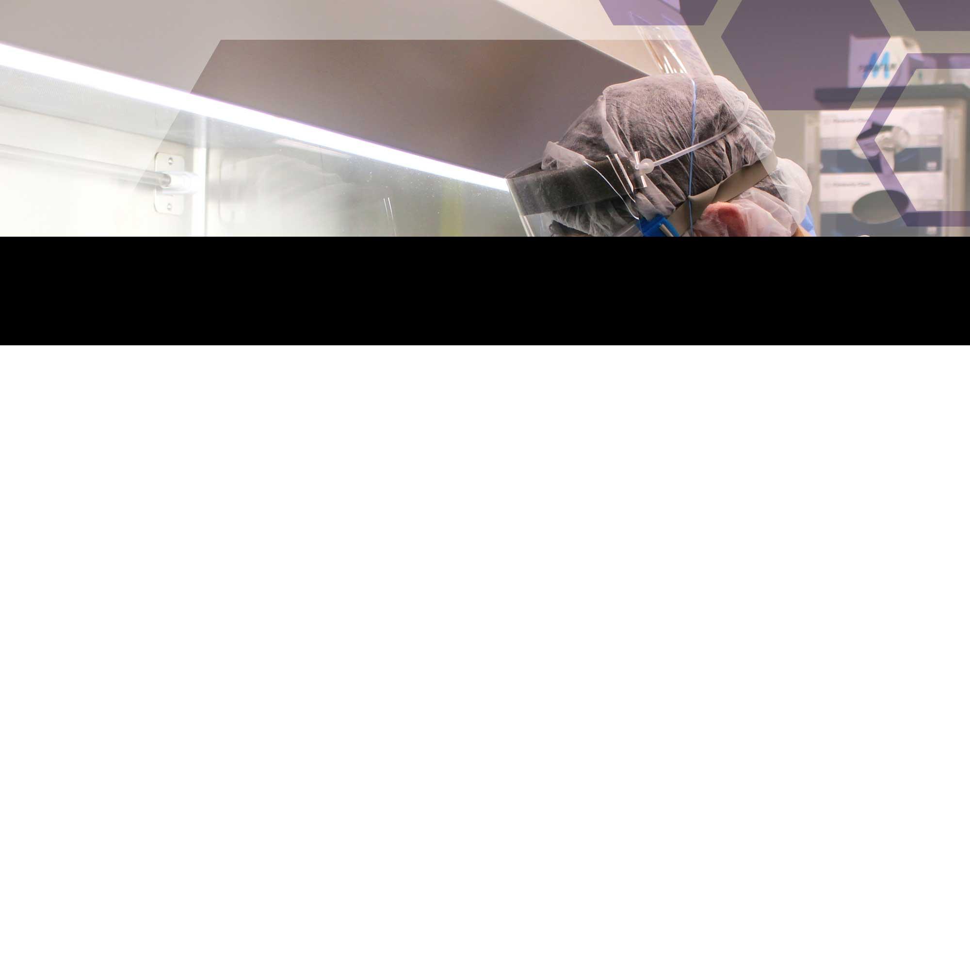 Product gallery 2498741