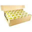 Seneca Sweet Peas, 4 Ounce -- 72 per case