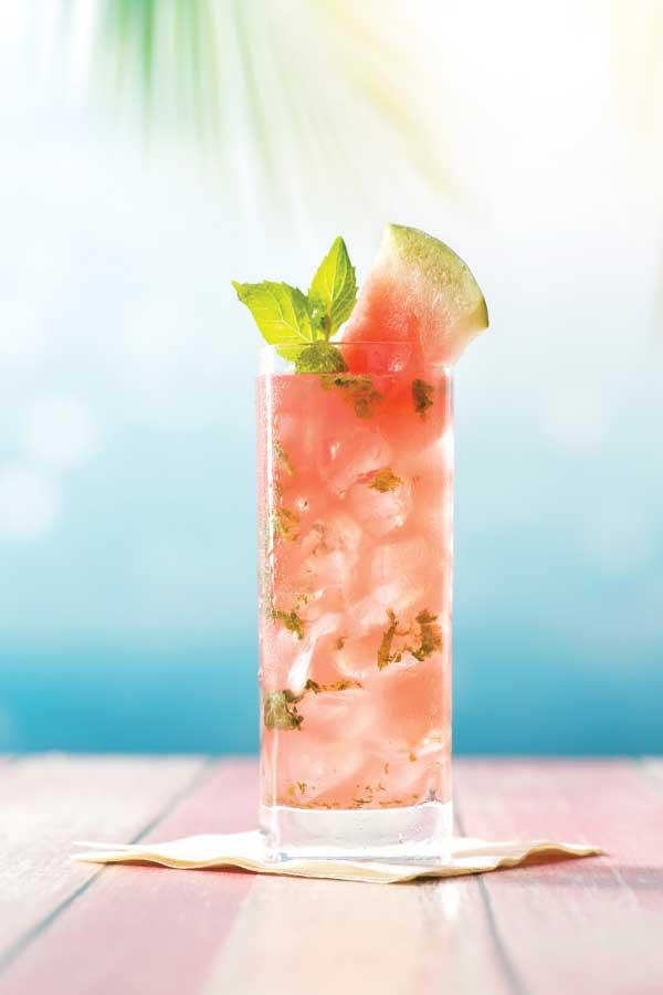 Product gallery 2111829