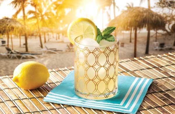 Product gallery 1847264