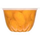 Dole Mandarin In Light Syrup, 4 Ounce -- 24 Case