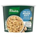 Knorr Mushroom Risotto Rice Cup, 2.6 Ounce -- 8 per case