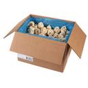 Marzetti Frozen Pasta Spaghetti Nests, 1 Ounce -- 288 per case