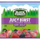 Black Forest Berry Medley Juicy Burst Fruit Flavored Snacks, 32 Ounce -- 6 per case
