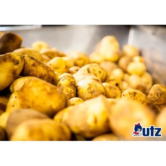 Product gallery 2781173