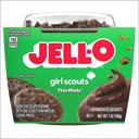Jell-O Thin Mint Pudding Snack, 7 Ounce - 6 per case
