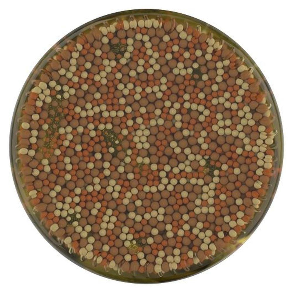 Product gallery 3845015