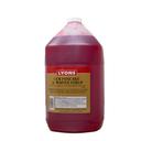 Lyons Cub Strawberry Pancake and Waffle Syrup, 1 Gallon -- 4 per case