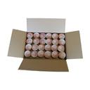 Lyons 100 Percent Apple Juice, 4 Fluid Ounce -- 96 per case