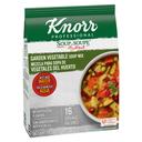 Knorr Professional Soup du Jour Garden Vegetable Soup Mix, 8.7 ounce -- 4 per case