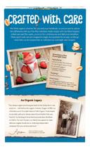 Natures Path Flax and Oats Hot Oatmeal, 14 Ounce -- 6 per case.