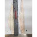 Freshwater Marketing 4-6 Ounce Skinless Walleye Fillets, 11 Pound