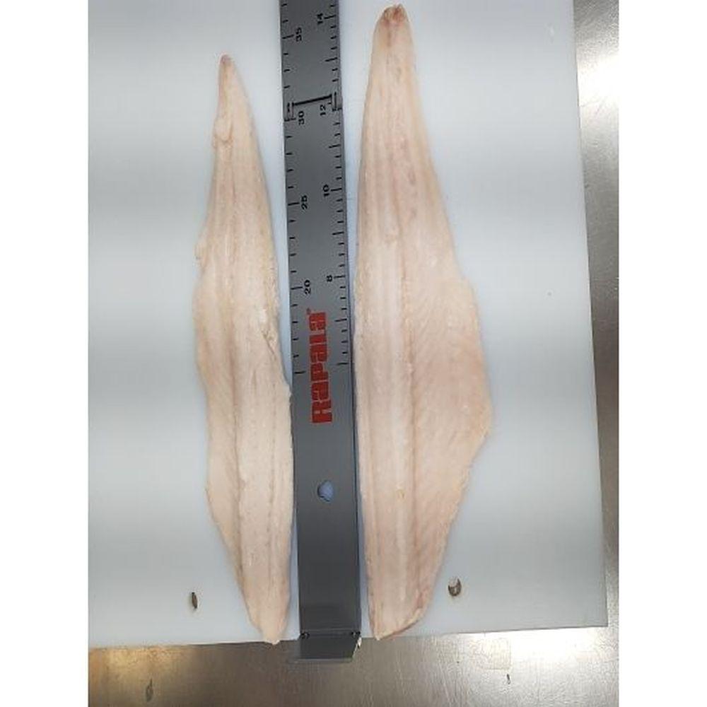 Product gallery 3850379