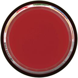 Product thumb gallery 2475420