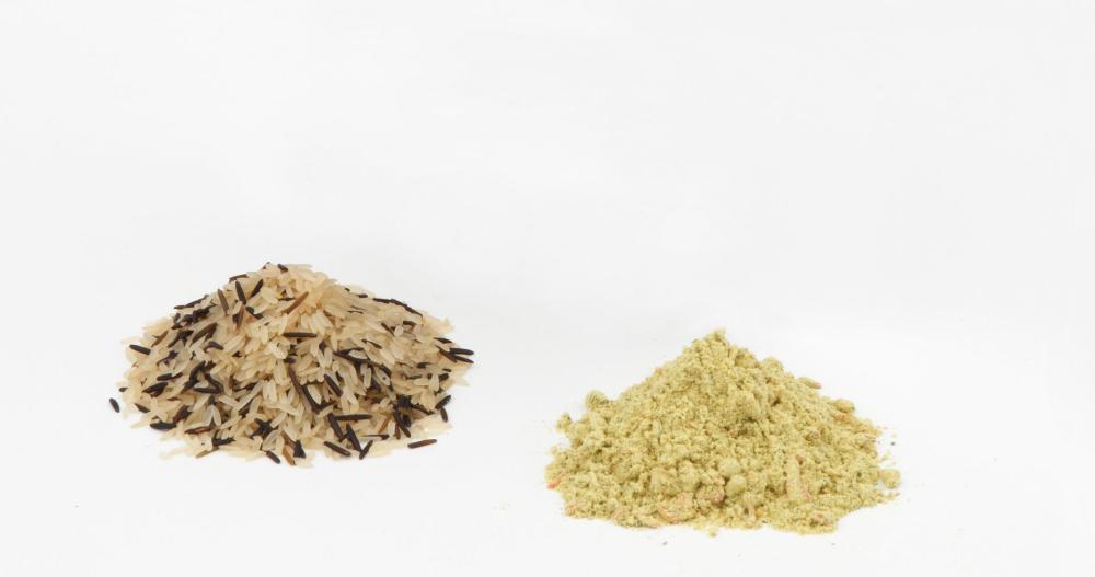 Product gallery 2873978