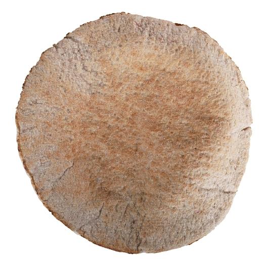 Product gallery 2779232