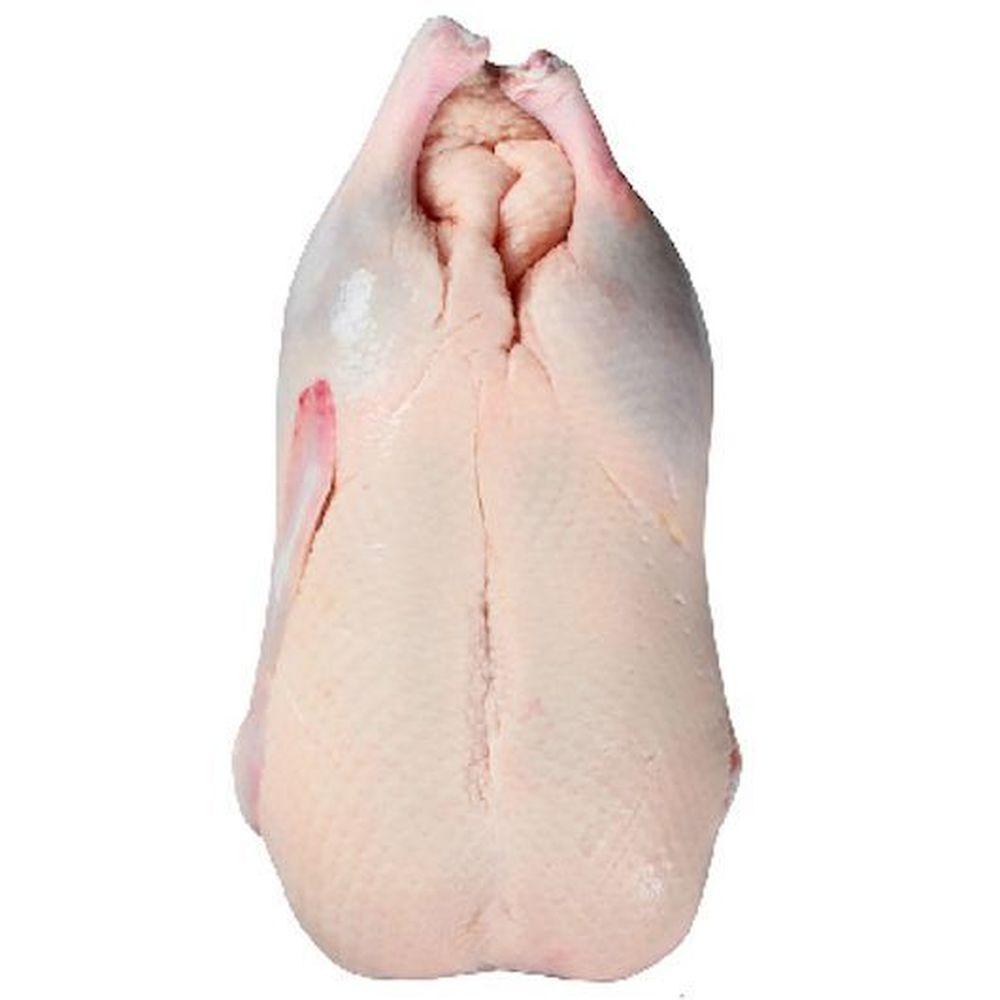 Product gallery 3201772