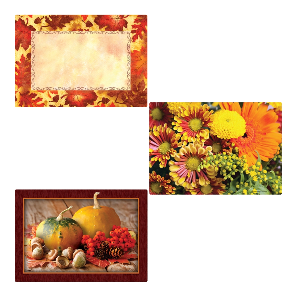 Hoffmaster 3 Designs Autumn Days Paper Placemat, 9.75 X 14 Inch -- 1000 Per Case