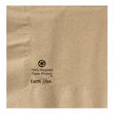 Hoffmaster Earth Wise 2 Ply Kraft Beverage Napkin, 10 x 10 inch -- 1000 per case.