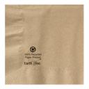 Hoffmaster Earth Wise 2 Ply Kraft Beverage Napkin, 10 x 10 inch -- 3000 per case.