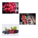Hoffmaster 3 Designs Berry Delight Paper Placemat, 10 x 14 inch -- 1000 per case.