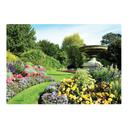 Hoffmaster English Garden Paper Placemat, 9.75 x 14 inch -- 1000 per case.