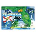 Hoffmaster Paper Florida Placemat, 9.75 x 14 inch -- 1000 per case.