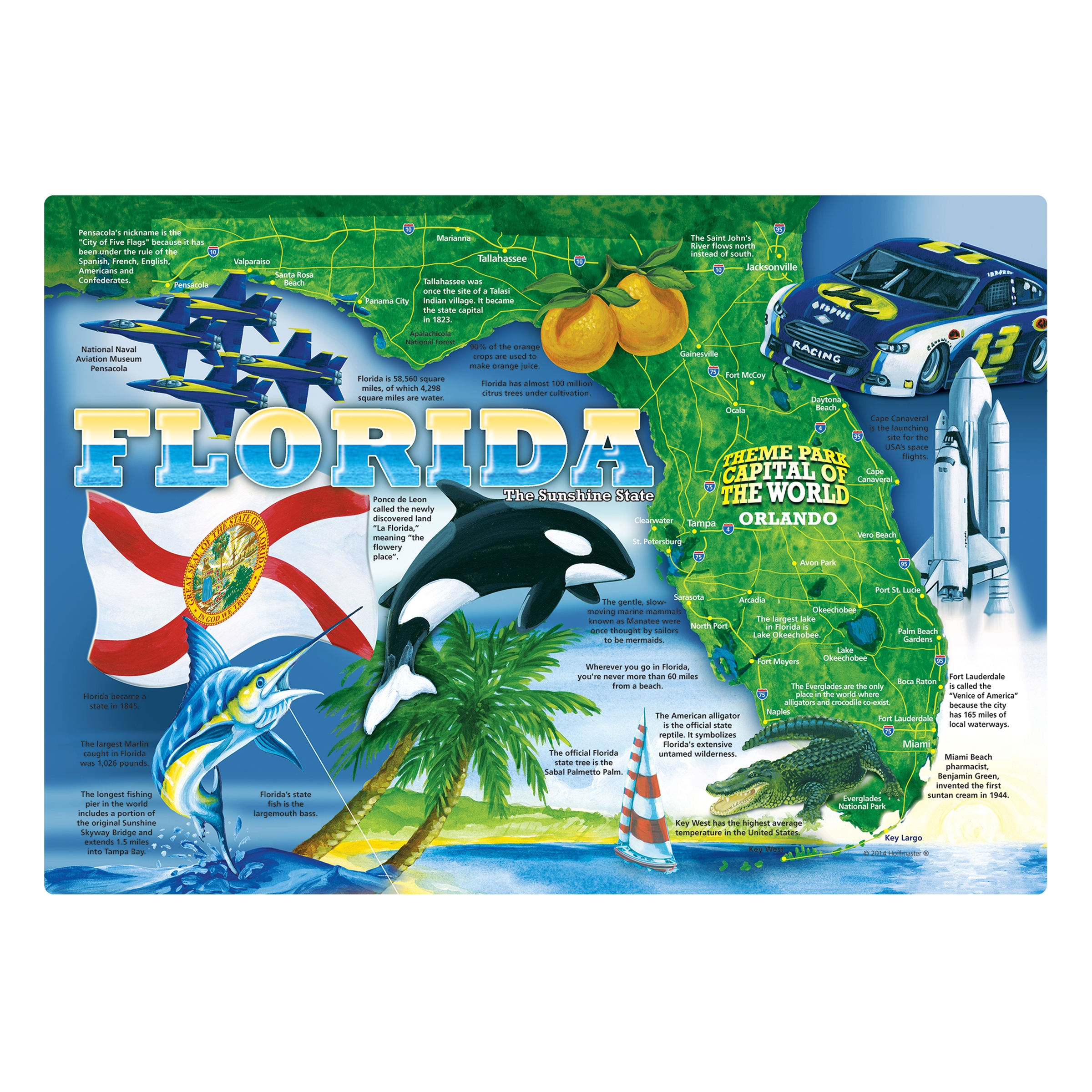 Hoffmaster Paper Florida Placemat, 9.75 X 14 Inch -- 1000 Per Case