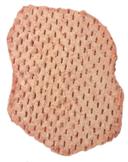 TNT Seasoned Oval Beef Patty, 8 Ounce -- 40 per case.