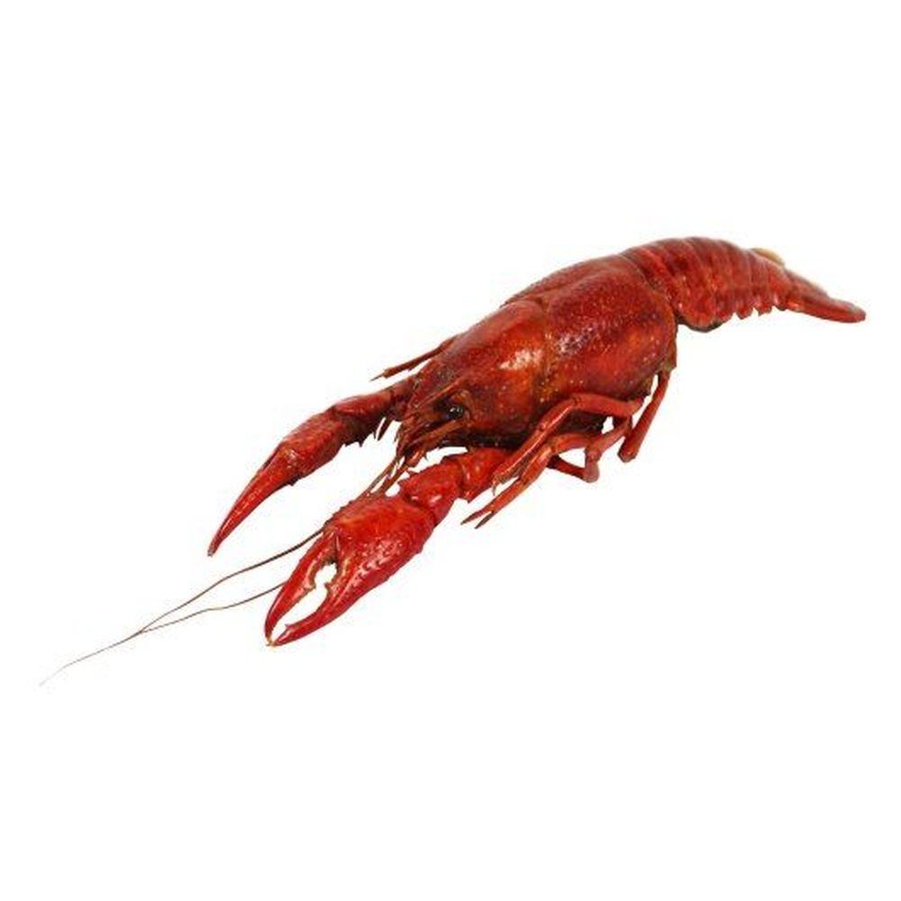 Product gallery 4650775