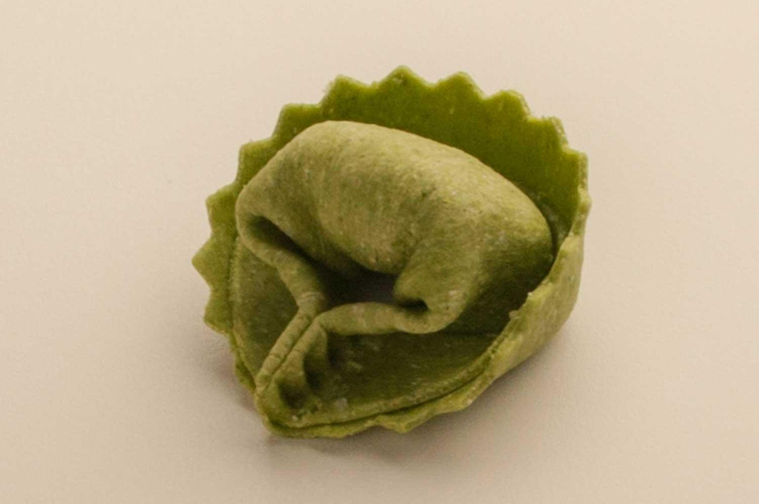 Product gallery 498785886