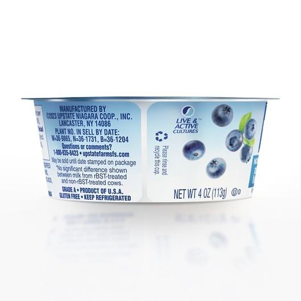 Upstate Farms Nonfat Mountain Blueberry Yogurt, 4 Ounce - 48 per case