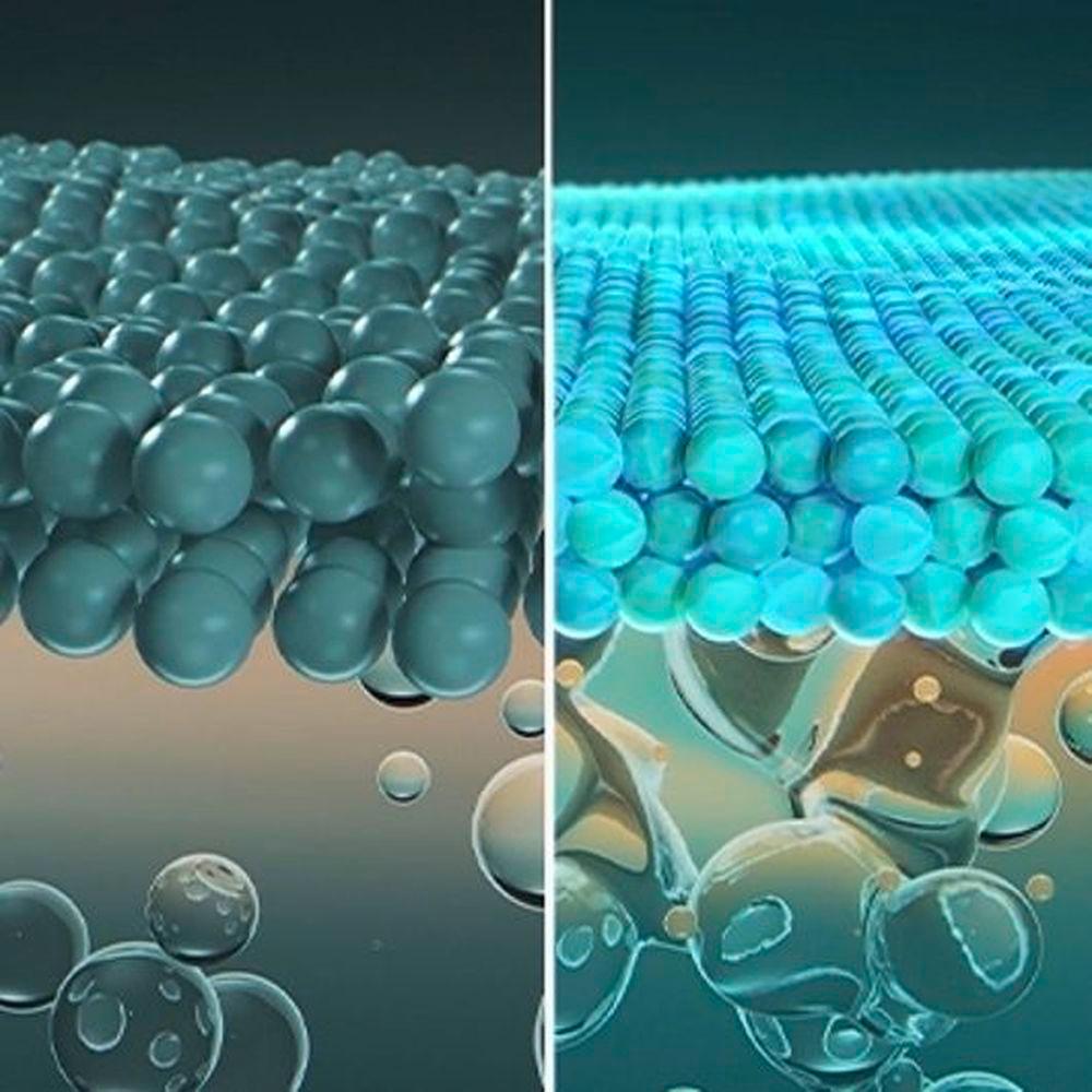 Product gallery 623742809