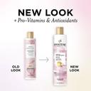 Pantene Sulfate Free Rosewater Shampoo, 9.6 Fluid Ounce -- 4 per case