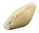 Conagra Angela Mia Pasta Shell with Cheese -- 120 per case.