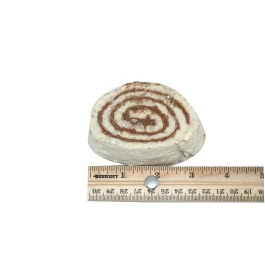 Product gallery 2517448