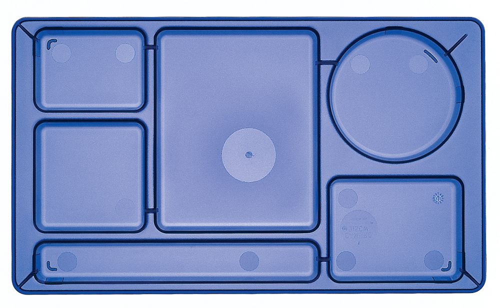 Cambro Camwear Translucent Blue Polycarbonate 2 X 2 Six Compartment School Tray, 15 X 8 3/4 Inch -- 24 Per Case